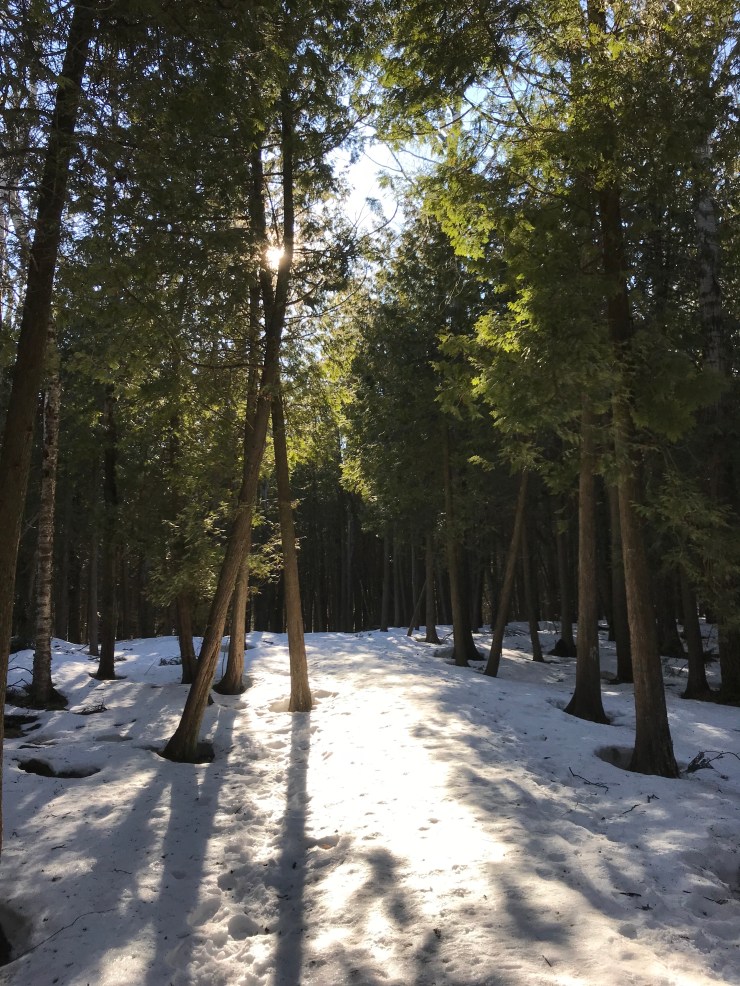 XJMxUoumR4aZj2FlI+RuHA