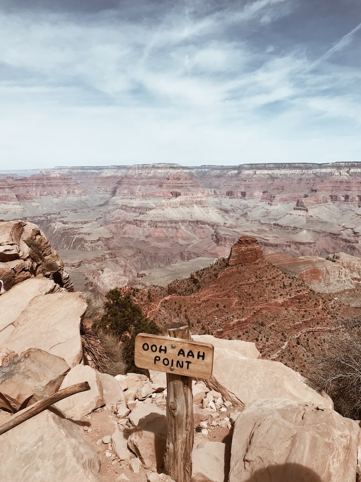 Processed with VSCO with a4 preset