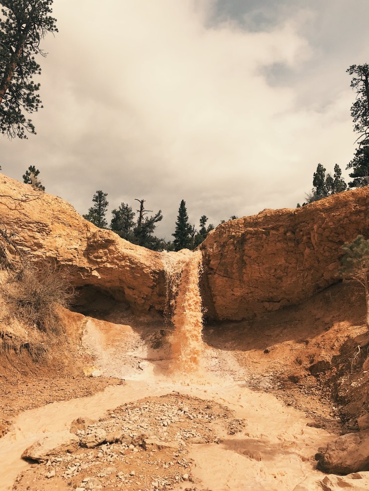 Processed with VSCO with a3 preset