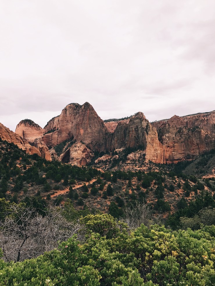 Processed with VSCO with a1 preset