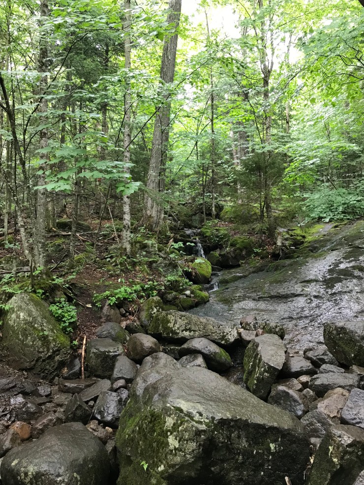 9mCs+842TaCKD6oNW94nSw