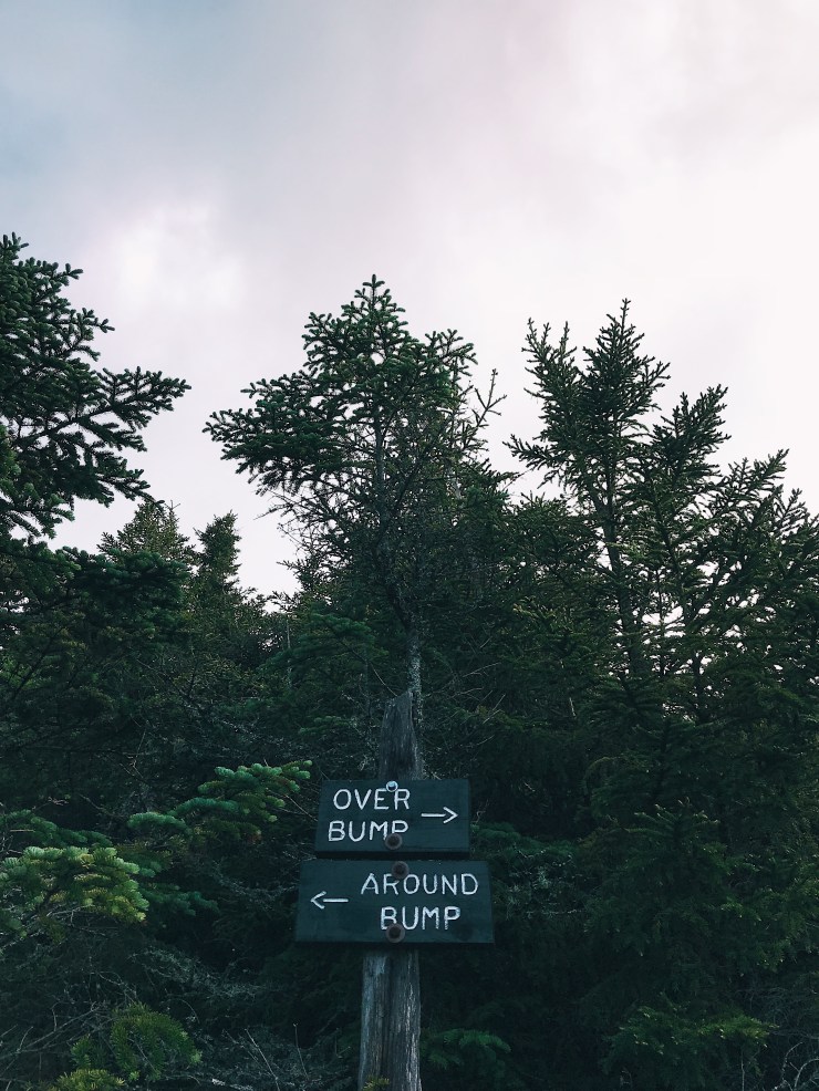 Processed with VSCO with a1 preset