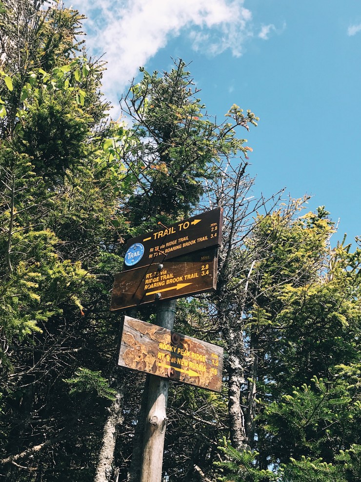 Processed with VSCO with a1 preset