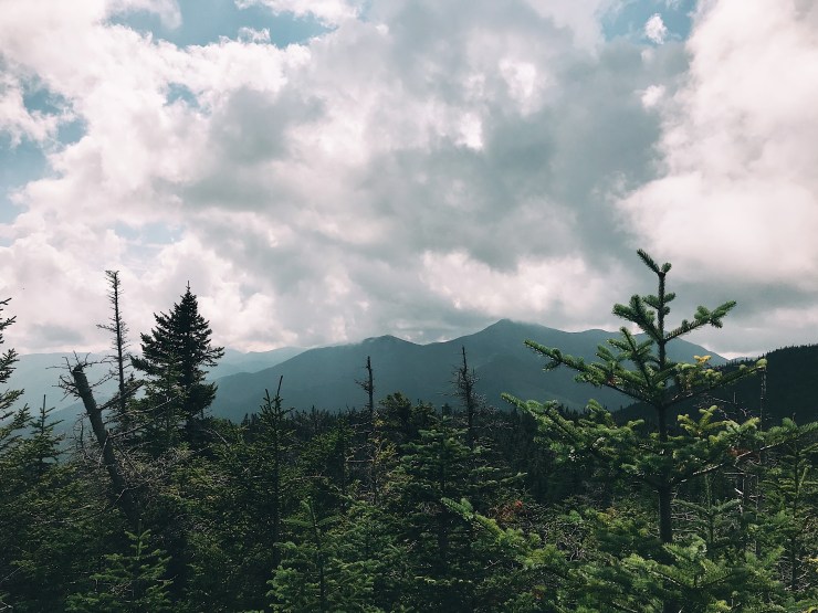 Processed with VSCO with a1 preset