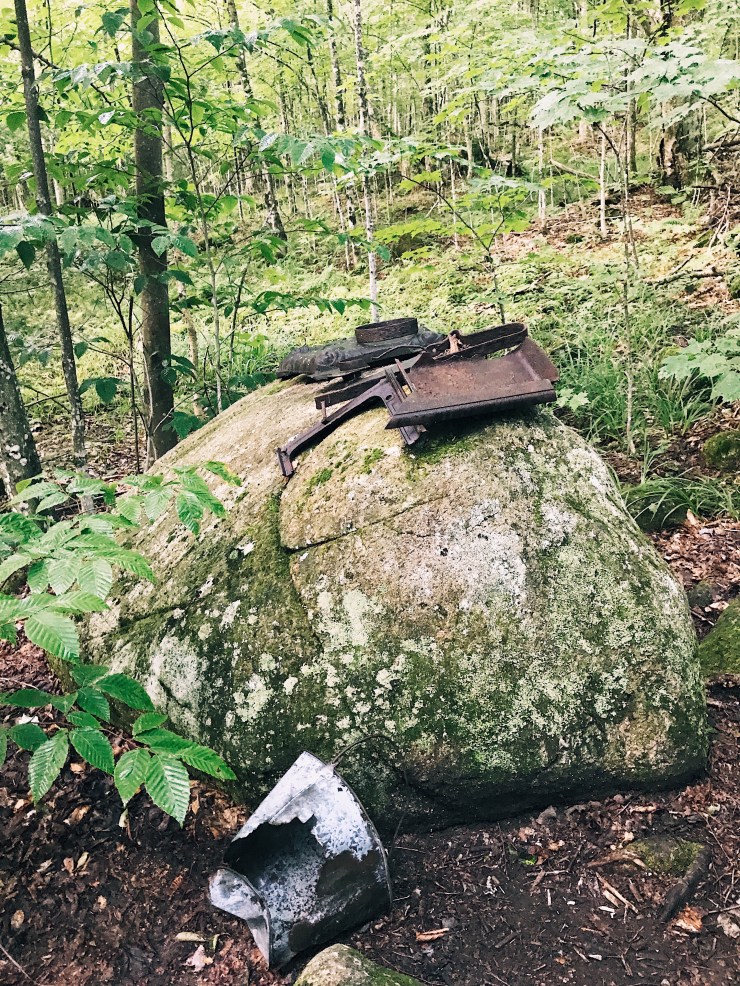 Processed with VSCO with a1 preset