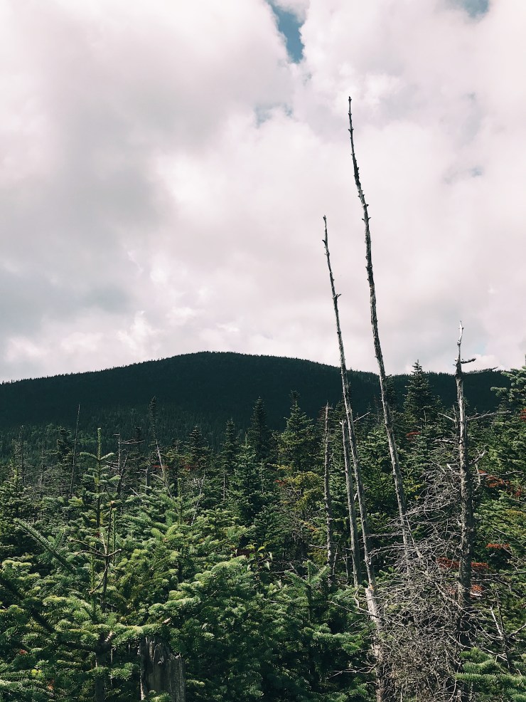 Processed with VSCO with a1 preset