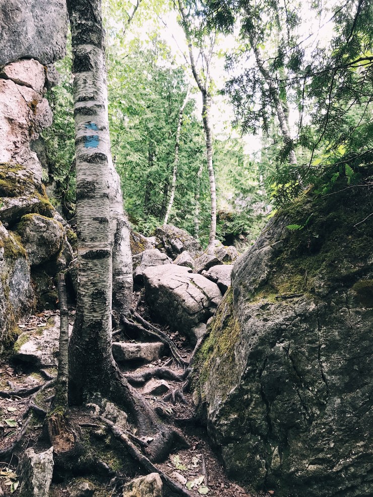 Processed with VSCO with a1 preset