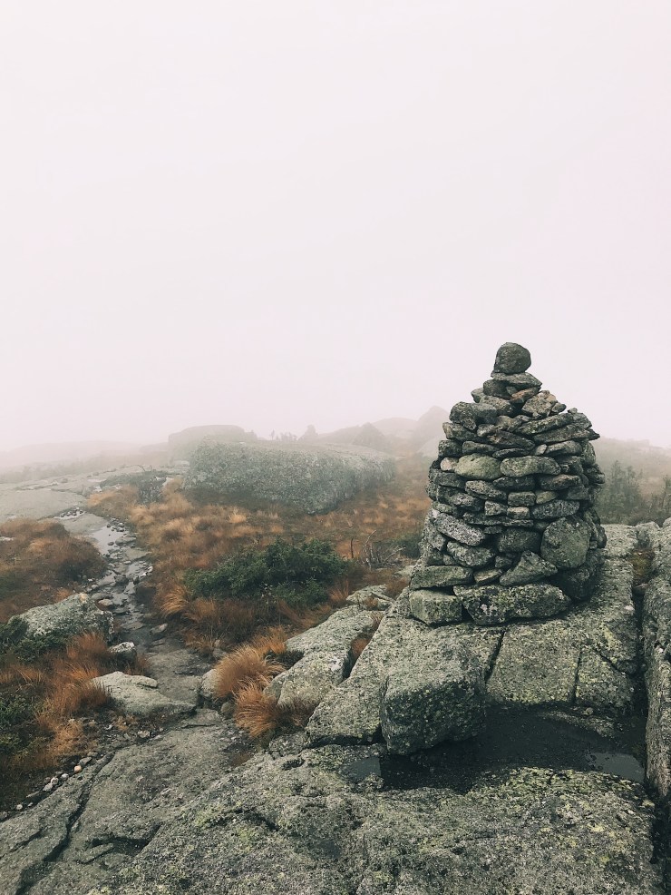 Processed with VSCO with a1 preset