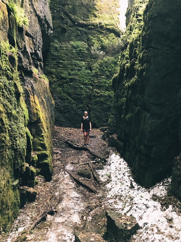 Processed with VSCO with a1 preset