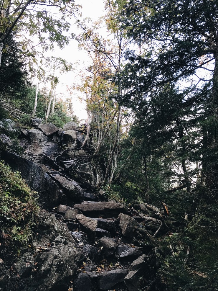 Processed with VSCO with a6 preset