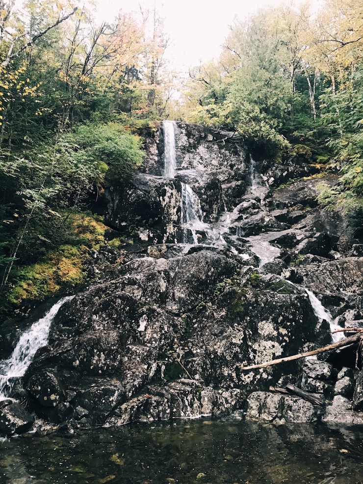 Processed with VSCO with a1 preset