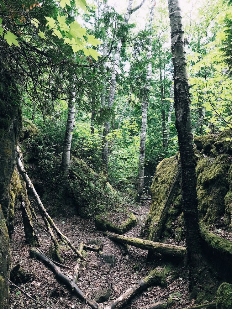 Processed with VSCO with a1 preset