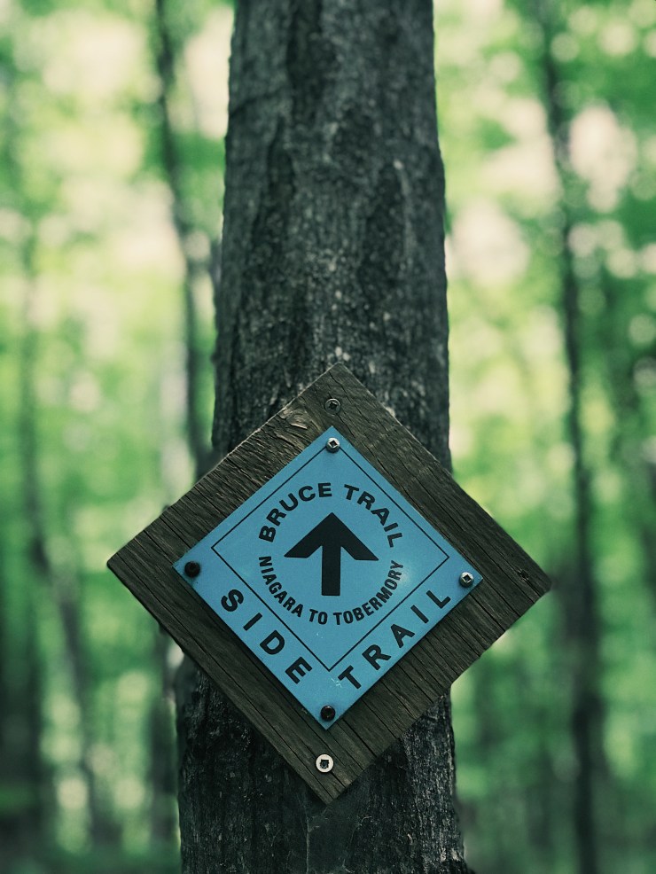 Processed with VSCO with a3 preset