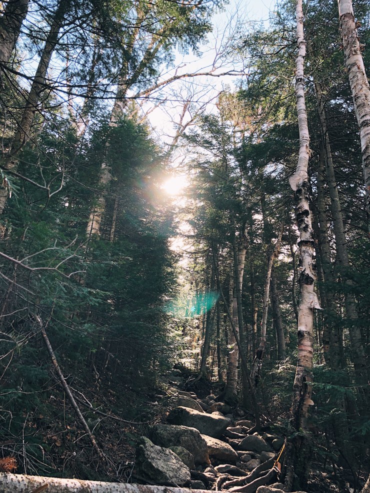 Processed with VSCO with a1 preset