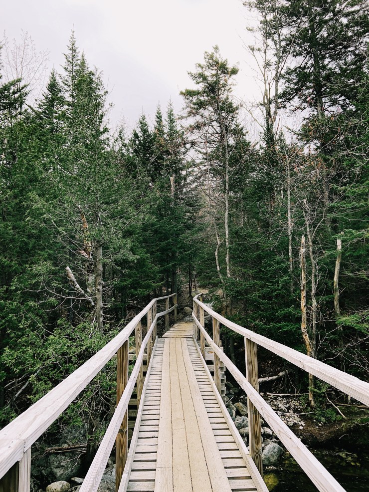 Processed with VSCO with a1 preset