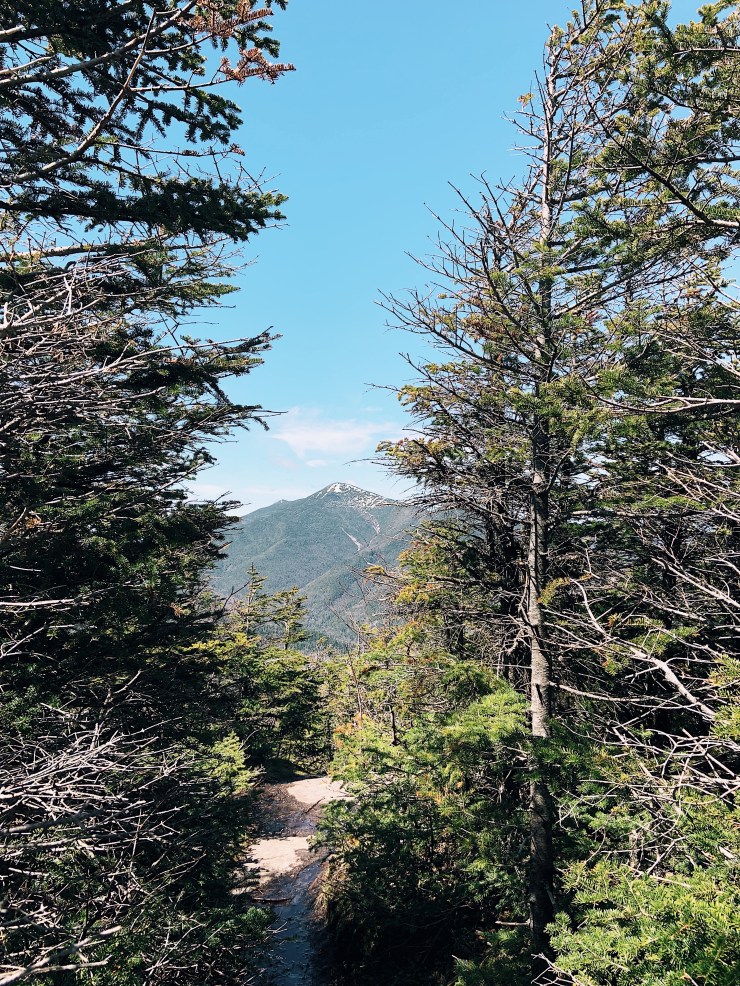 Processed with VSCO with a1 preset