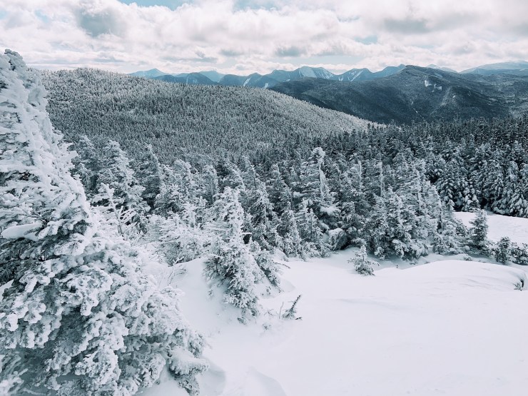 Processed with VSCO with a1 preset