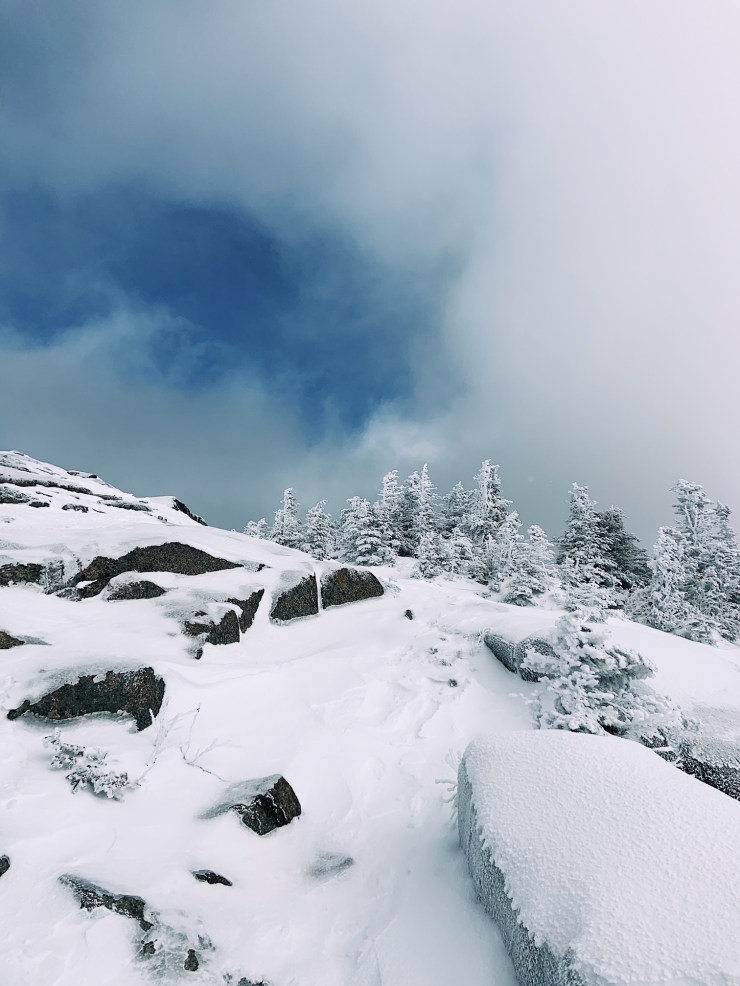 Processed with VSCO with a1 preset