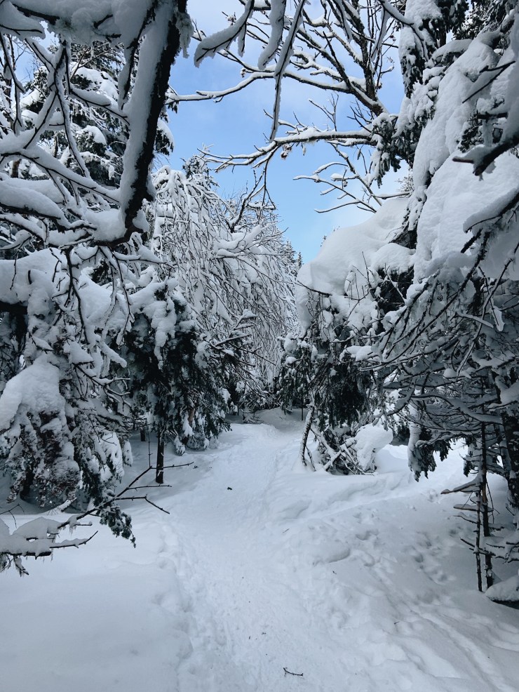 Processed with VSCO with a6 preset