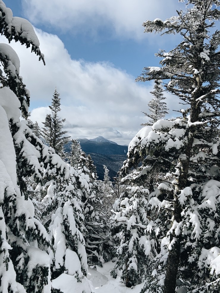 Processed with VSCO with a6 preset