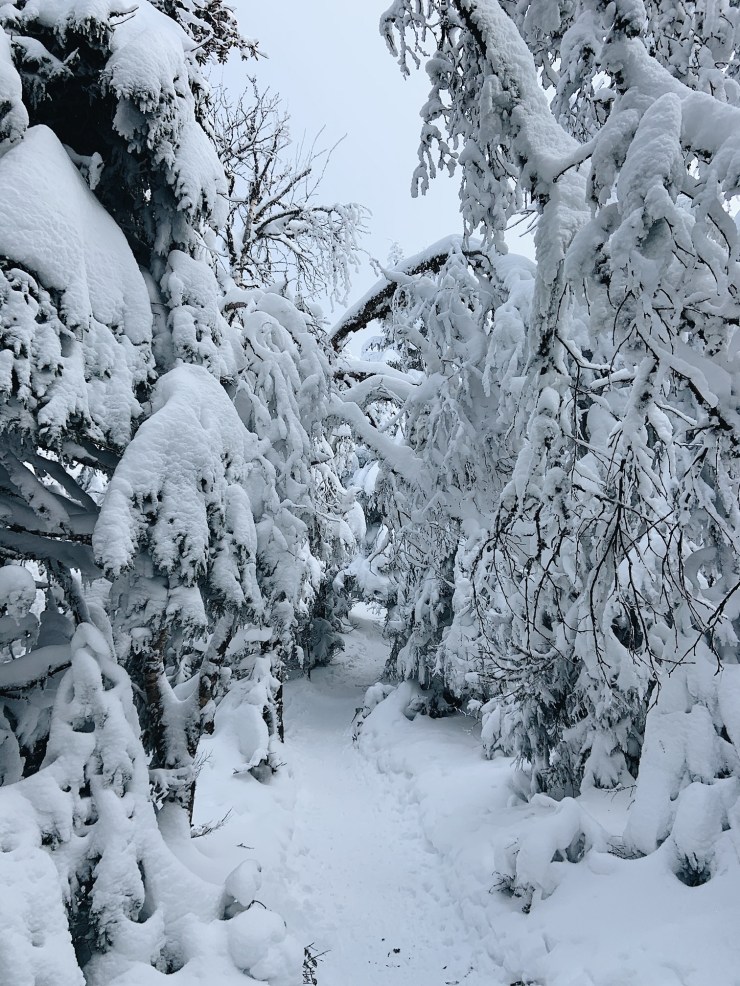 Processed with VSCO with a6 preset