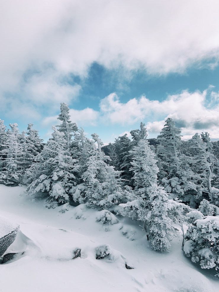 Processed with VSCO with a1 preset