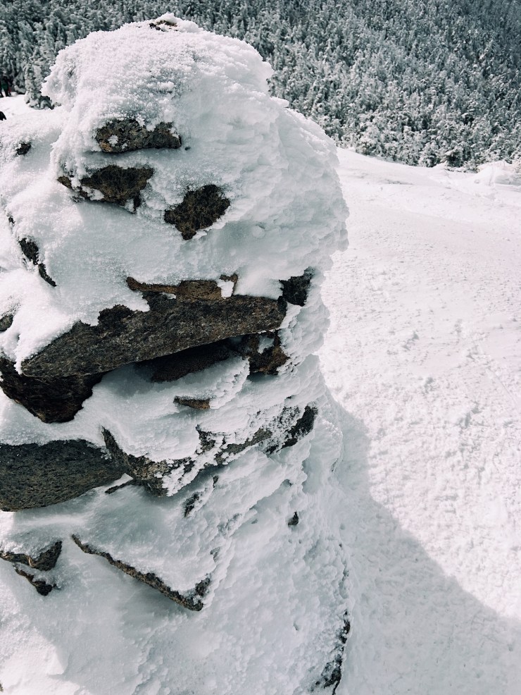 Processed with VSCO with a1 preset