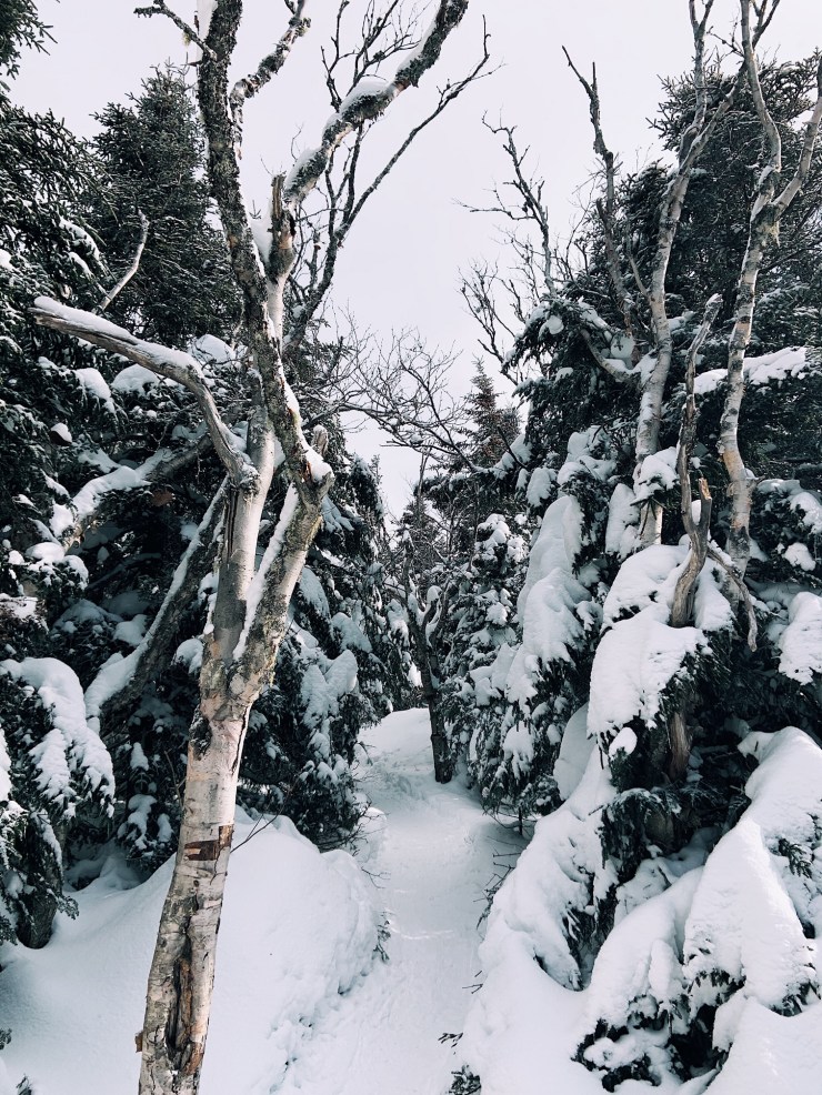 Processed with VSCO with a1 preset