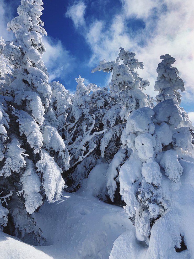 Processed with VSCO with 4 preset