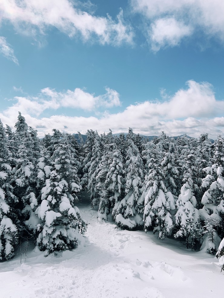 Processed with VSCO with a1 preset